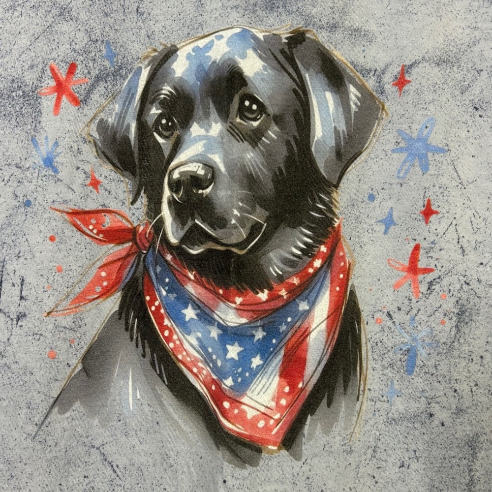 Comfort Colors Dog Graphic T-Shirt Patriotic Black Lab‎ Tie Dye 2XL